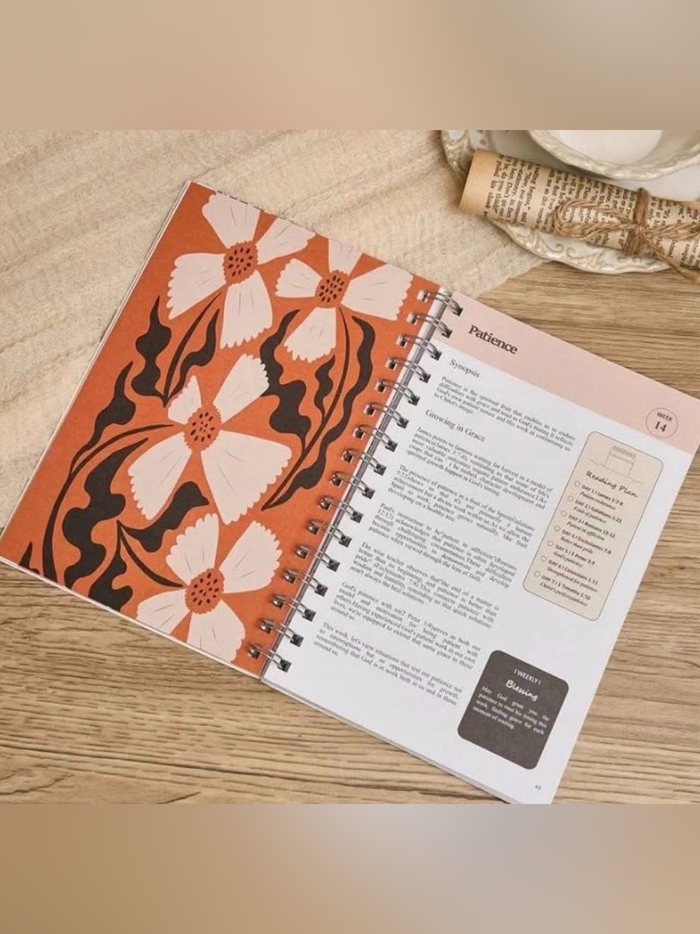The Bible in A Year A 52-week Study Spiral Bound Gods Word Plan Book for Women - Picture 2 of 6